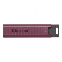 Memoria USB Kingston Technology DATATRAVELER MAX-A